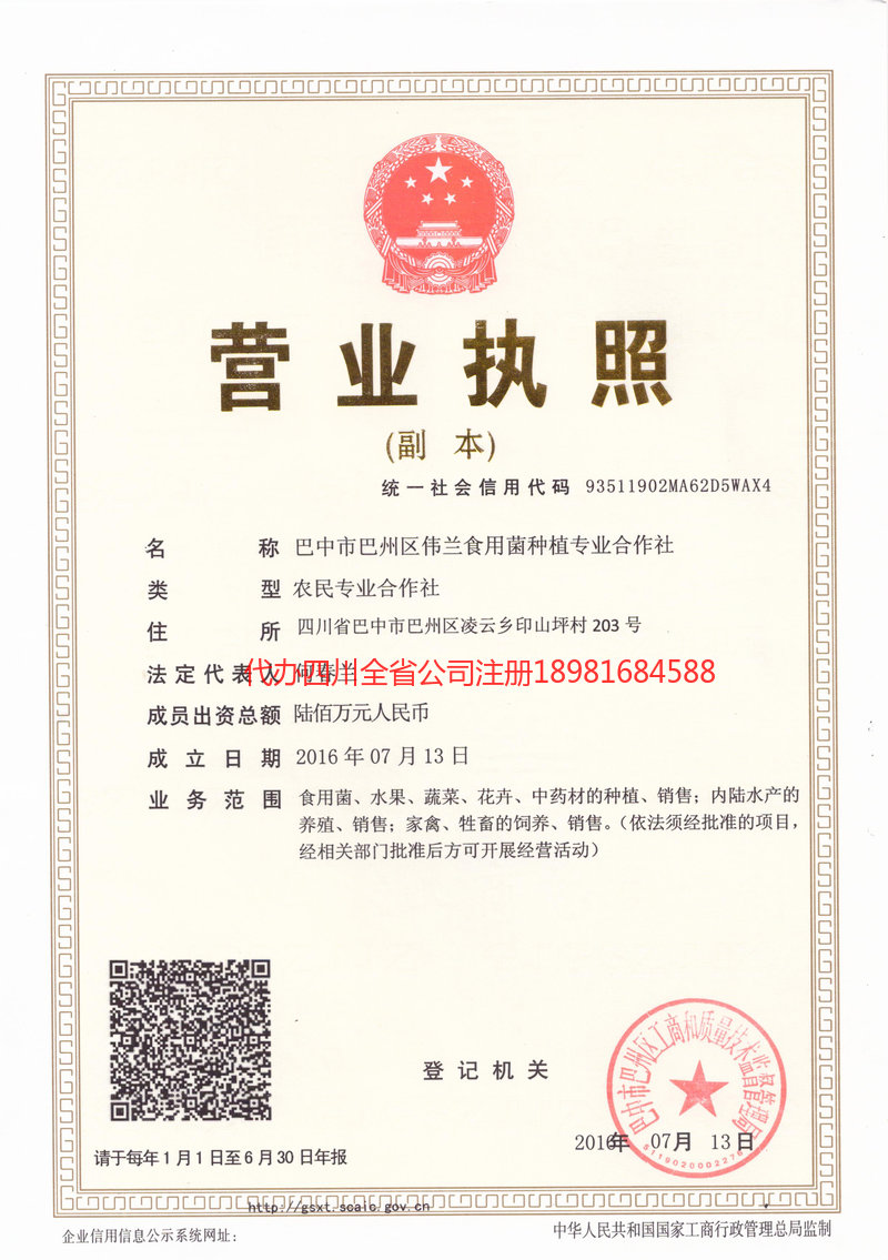 恩施市恩施市伟兰食用菌种植专业合作社